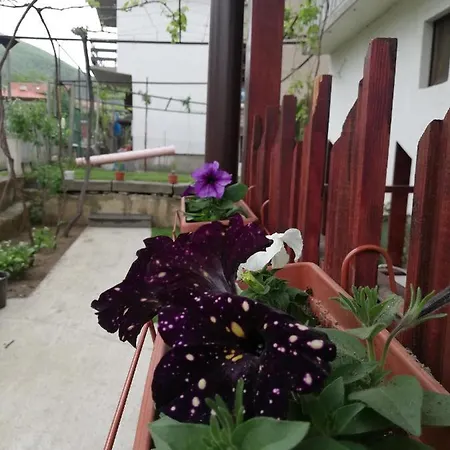 Apartmán идилия *